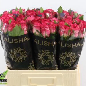 Sweet Enchantment 50cm