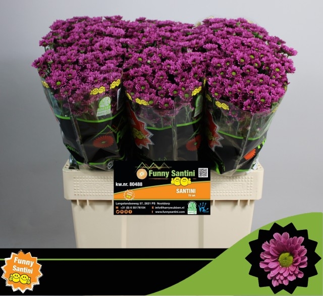 73c34ae5-c60b-3162-9097-234526a3dfc8