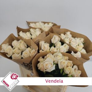 Vendela 60 cm