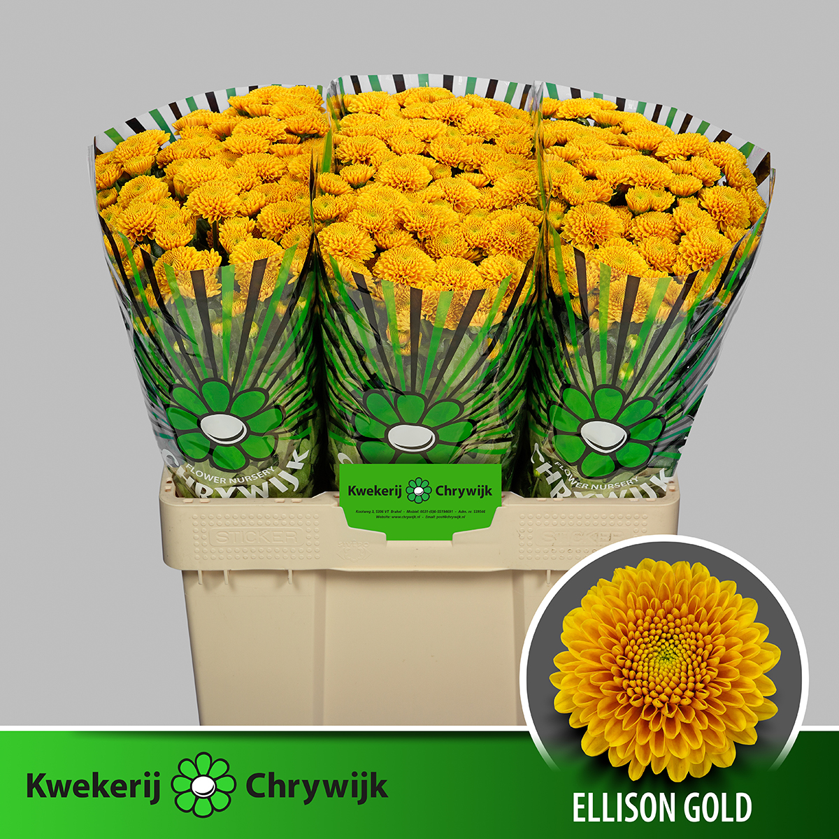 cf43de85-c720-4ffb-8ffa-60540880b8ea