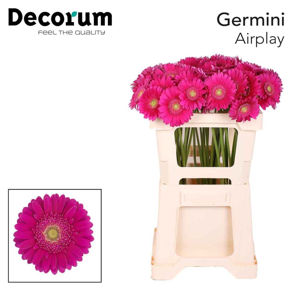 210325-ge-mi-emmer-airplay