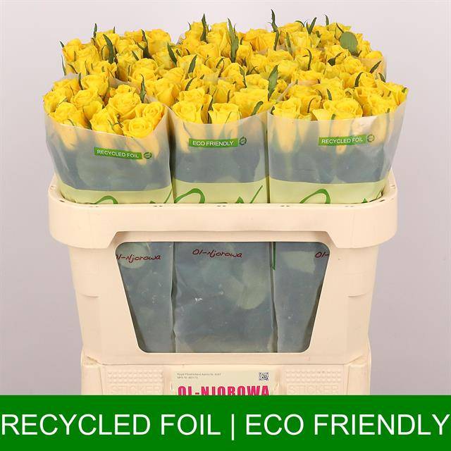 2ae1b362-e4ed-392c-ab11-13b72312a1cc