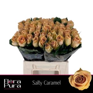 Salty Caramel 40cm