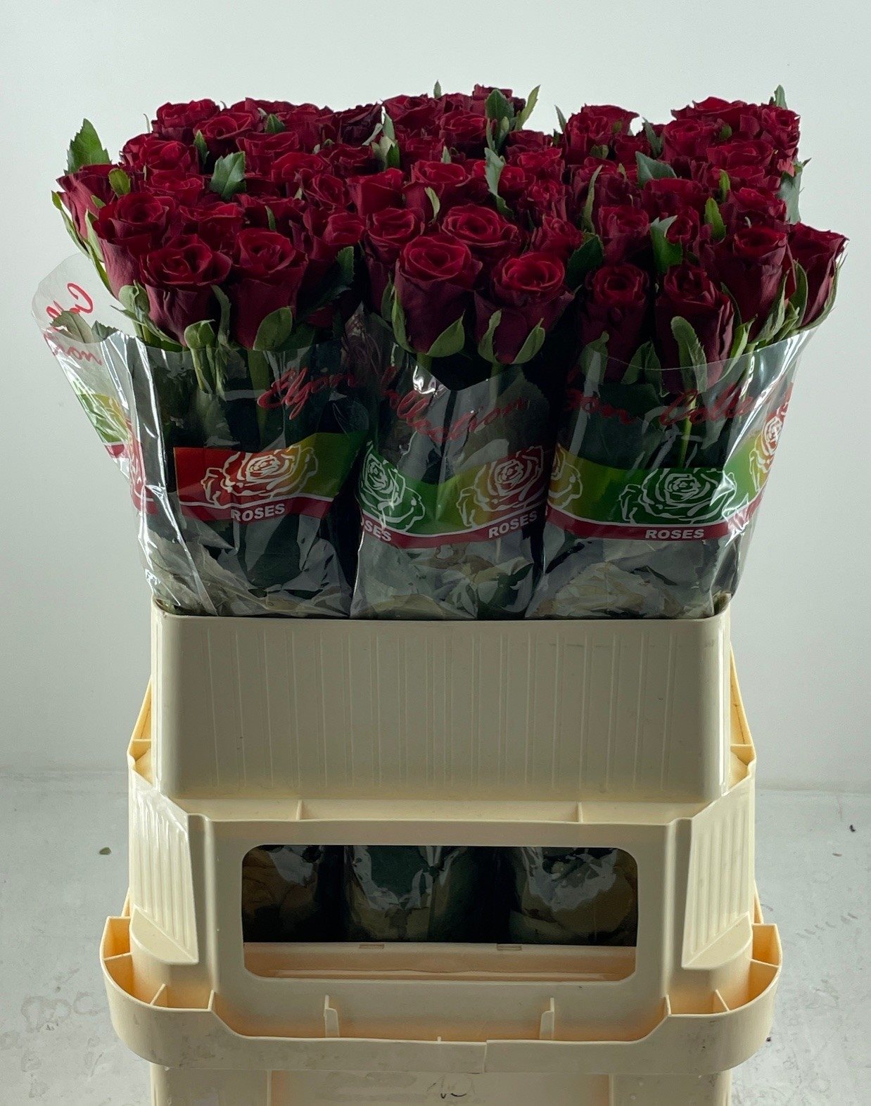 03c8d626d02c4-8548112