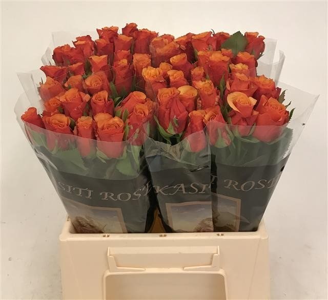 112767-40VRM-7288252