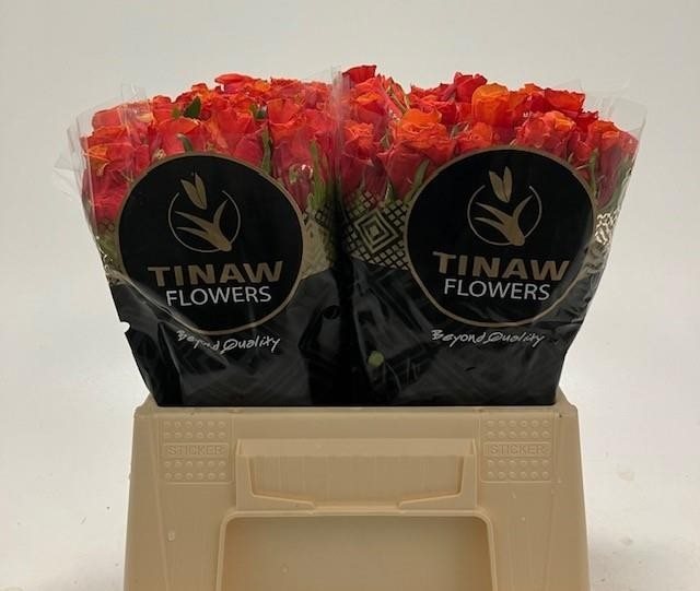 112767-40VRM-7345450