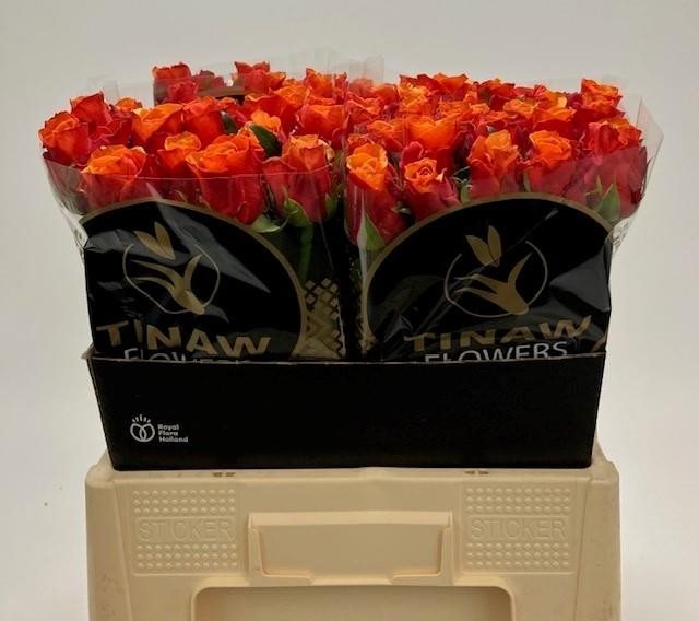 112767-60VRM-7353270