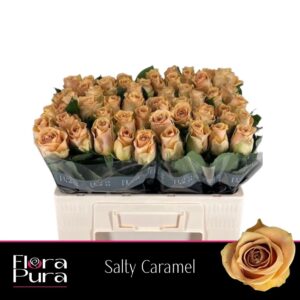 Salty Caramel 60cm