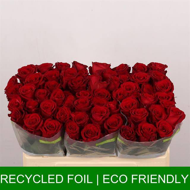 657e8bbd-a8a6-3f40-84e0-0f63e5933bdd