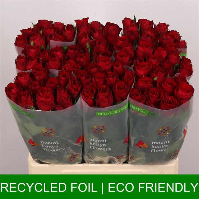 95cfde46-3909-31a3-886e-d7348ef2a569 (1)