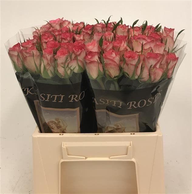 117150-40VRM-7288248