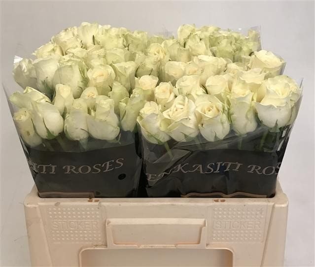 119099-50VRM-7288290