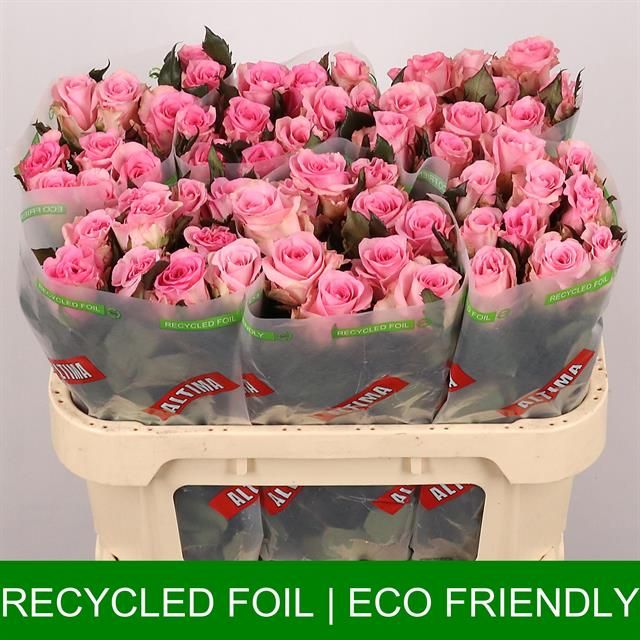 b2dfe895-35de-3bb8-9ead-7395c580c521